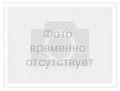 Держатели печатной продукции купить по лучшей цене с доставкой. Продажа Держатель буклетов 1-секция 'Универсальный' высокого качества в интернет-магазине Posmshop.
